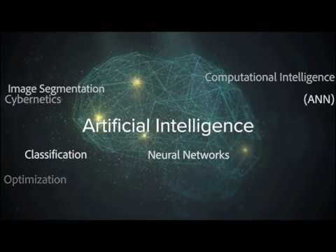 Experts Discuss Evolutionary Algorithms and the Future of AI